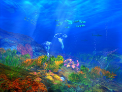 Пазлы онлайн. Картинка №53: Подводный мир
 Размер картинки: 640х480
